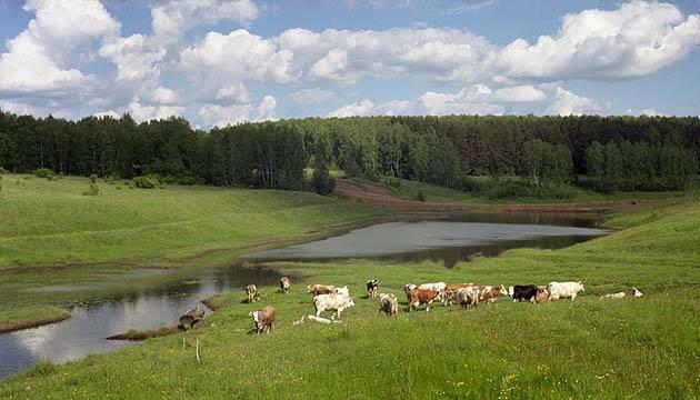 Земельный участок Мценск