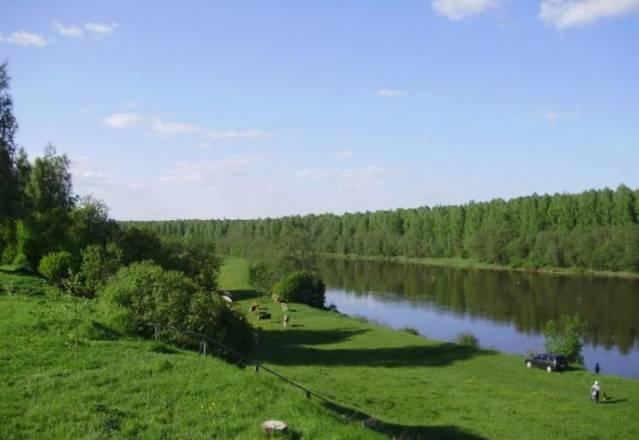 25  соток в 100 м. от реки (на фото) в деревне Москва