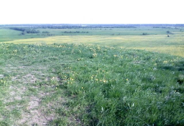 Участок с пропиской Туттари парк Санкт-Петербург