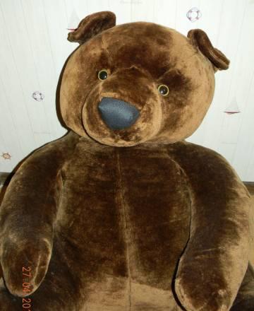 Медведь Москва