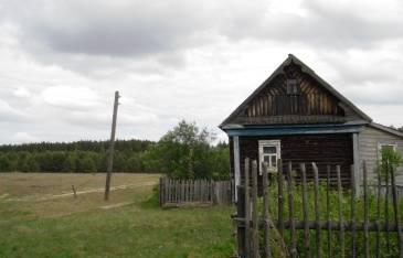 Большой крепкий дом рядом с лесом и речкой Касимов