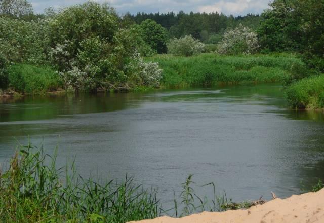 Уч-к в Трубниковом бору Санкт-Петербург