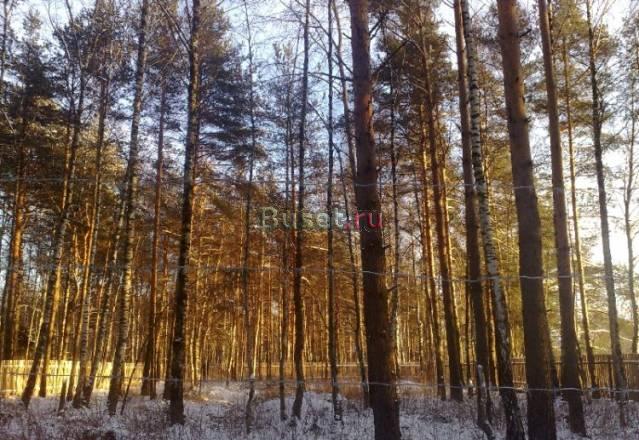 12 соток под ижс в д. Шмеленки, эл-во 15 кВт Раменское