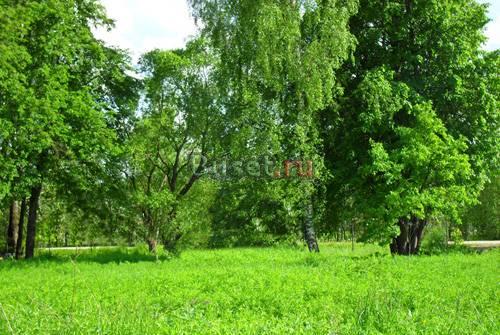 Земельный участок Москва