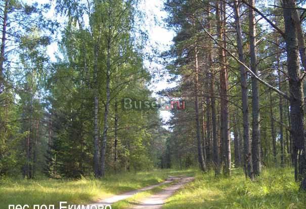 Участок для ижс Новорижское шоссе р.Волга 199 т.р Ржев