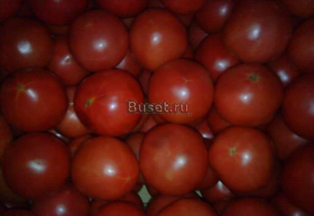 Помидоры розовые,картофель молодой от 10тонн Саратов