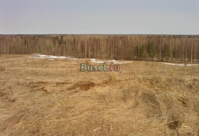 Днт(строительство), 331 сотка, 33 км, Ириновка Всеволожск