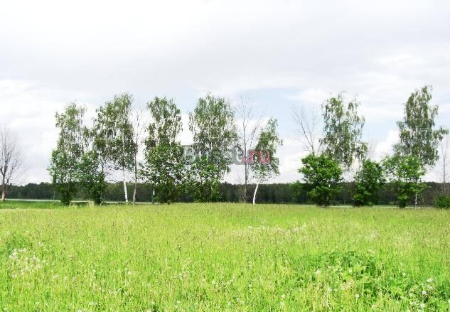 Каширское ш. 45 км. Вельямино Москва