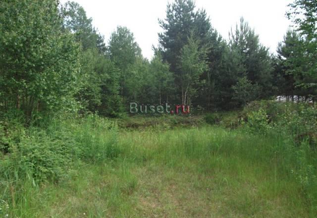 Участок в Блудном (Всеволожск + 6км) Всеволожск