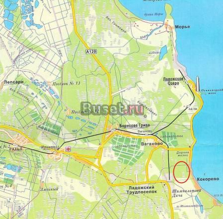 Земельный участок с/х 6га Всеволожск