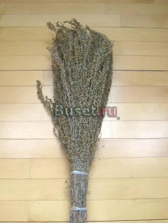 Полынь Москва