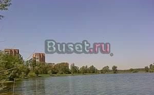 Сдам Электросталь