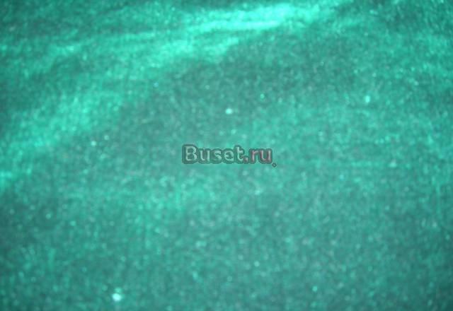 Бархат Москва