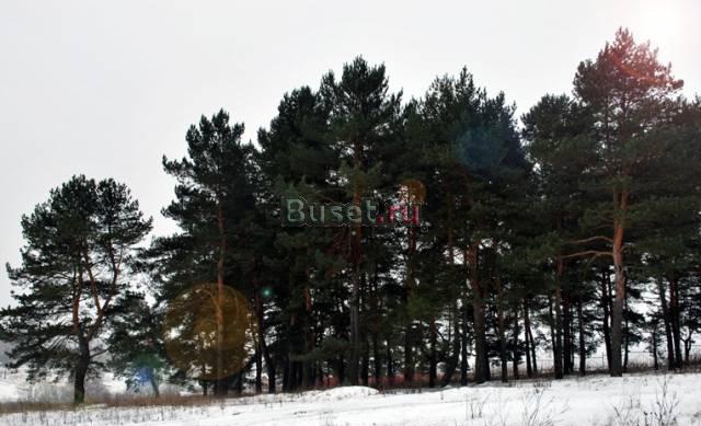 Участок 11,9 соток. ижс, прописка Москва