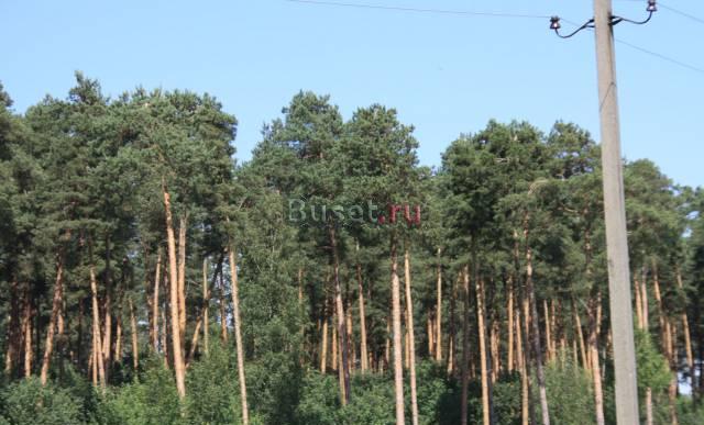 Земельный участок рядом с лесом Москва