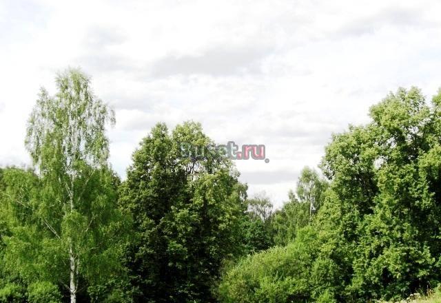 Калужское ш. 63 км. Тетеринки Москва