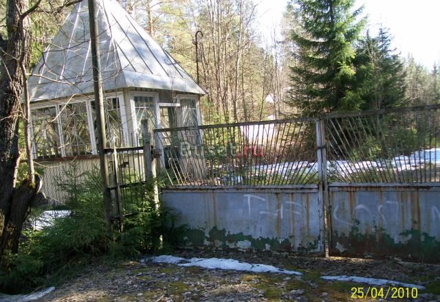 Выборгский район пос. Рощино Санкт-Петербург
