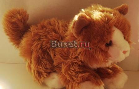 Мягк игр кошка Москва