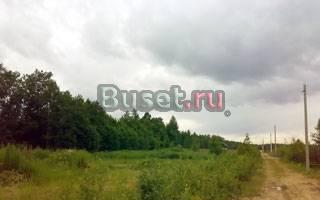 Участок 10.2 сот сад в д.м.Карлино продается Санкт-Петербург