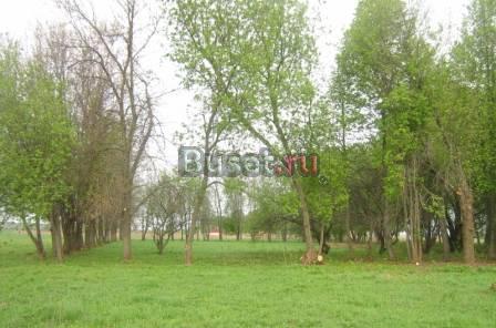 Участок 60 км от МКАД по Дмитровке Москва