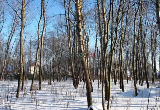 Продается лесной участок 15 Москва