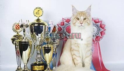 Спецпредложение питомника Москва
