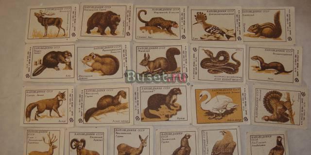Заповедники СССР Москва