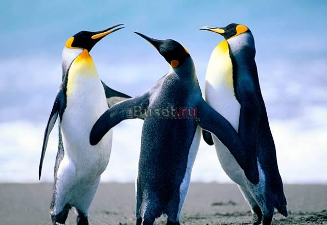 Детский массаж Москва