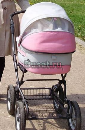 Inglesina Freska Санкт-Петербург