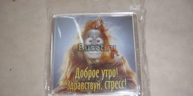 Здравствуй стресс Москва