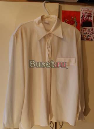 Блуза новая  54 р.,отдам даром Санкт-Петербург