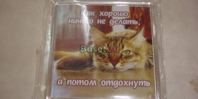 Как хорошо ничего не делать Москва