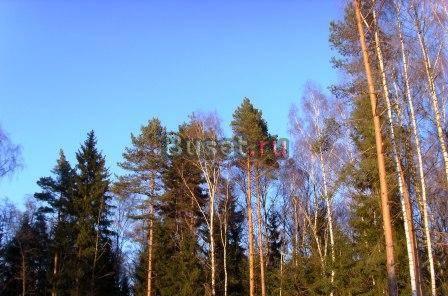 Участок ижс 9 соток 12 км от МКАД на Киевском Москва