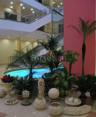 Озеленение офисов, уход за цветами, растениями Санкт-Петербург