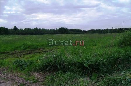 Красноозерное +1 км, 3 Га земли сельхоз назначения Выборг
