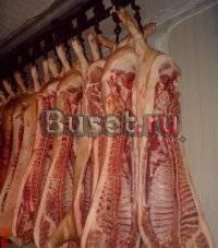 Охлажденное мясо (свинина) от Фермера Антона Санкт-Петербург