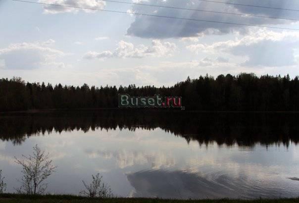 Отдых в настоящей русской деревне, озеро, лес Пустошка