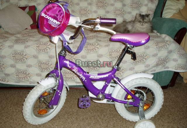 Schwinn Tigress Al (2008) Москва