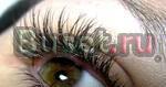 Шикарные реснички,полный объемсвао Москва