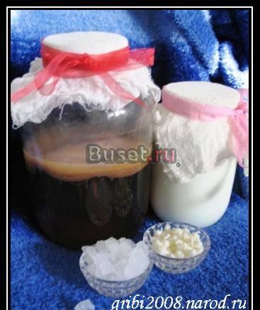 Морской рис,Тибетский молочный и Чайный гриб Москва