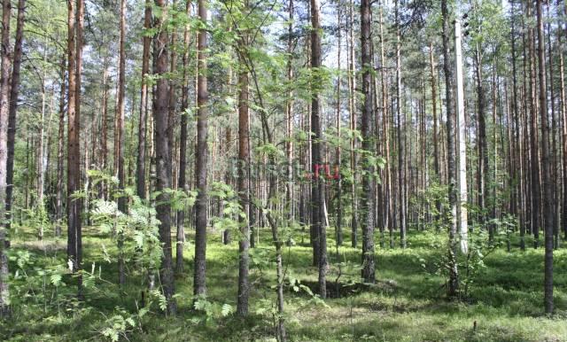 Земельный участок 12 соток Выборг