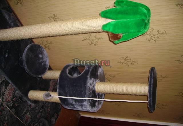 Домик для кошек Всеволожск
