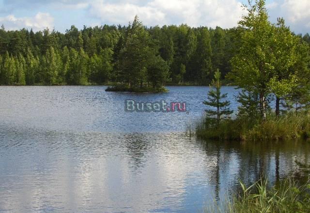 Участок СНТ"Солнечное"-10сот.,д.Борисова Грива Всеволожск