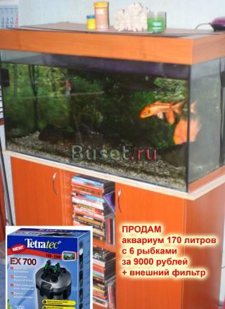 Продам Аквариум 170 л. с тумбой Санкт-Петербург