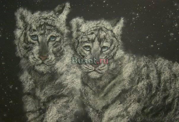 Тигрята ( пастель) Москва