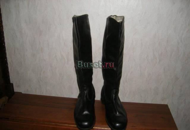Сапоги мужские Москва