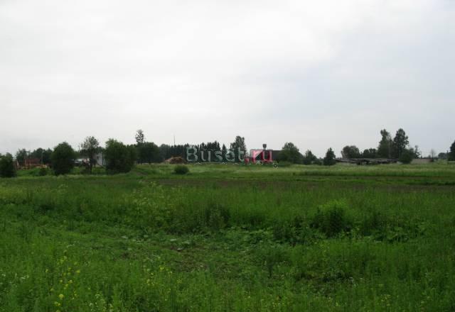 Д.Лампово Участок  15сот. ижс середина деревни Гатчина