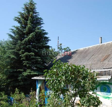 Дом с участком в 40 соток Москва