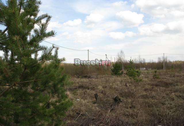 Борисова Грива уч10сот Всеволожск