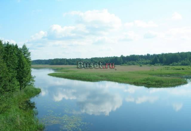1 Га ижс с электричеством, соснами, озера и река Санкт-Петербург
